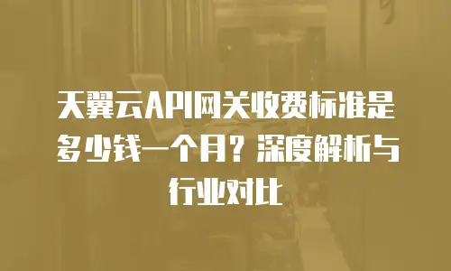 天翼云API网关收费标准是多少钱一个月？深度解析与行业对比