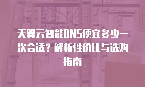 天翼云智能DNS便宜多少一次合适？解析性价比与选购指南