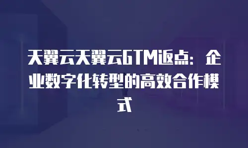 天翼云天翼云GTM返点：企业数字化转型的高效合作模式