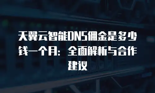 天翼云智能DNS佣金是多少钱一个月：全面解析与合作建议