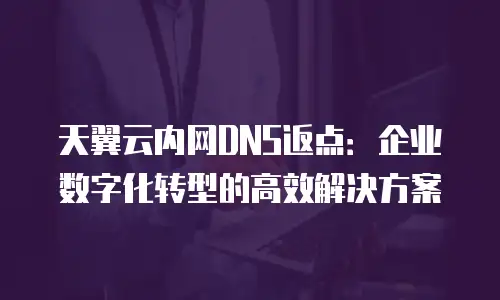 天翼云内网DNS返点：企业数字化转型的高效解决方案