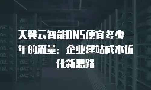 天翼云智能DNS便宜多少一年的流量：企业建站成本优化新思路