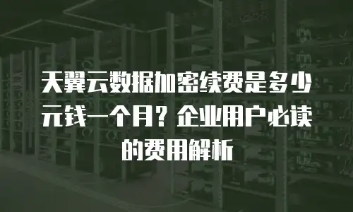 天翼云数据加密续费是多少元钱一个月？企业用户必读的费用解析