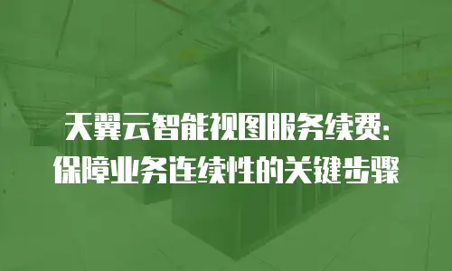 天翼云智能视图服务续费：保障业务连续性的关键步骤