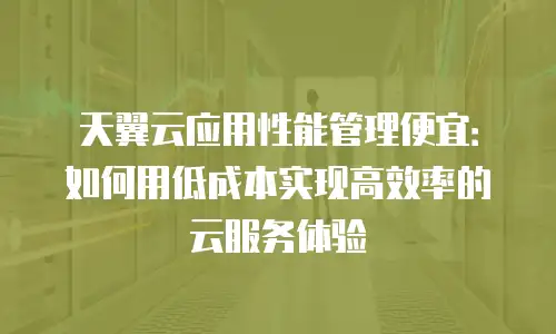 天翼云应用性能管理便宜：如何用低成本实现高效率的云服务体验
