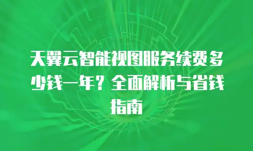 天翼云智能视图服务续费多少钱一年？全面解析与省钱指南