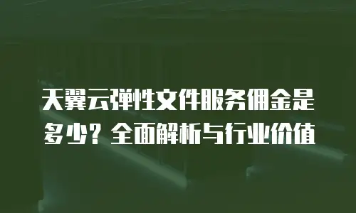 天翼云弹性文件服务佣金是多少？全面解析与行业价值