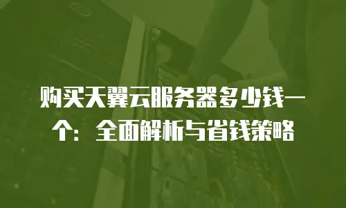 购买天翼云服务器多少钱一个：全面解析与省钱策略
