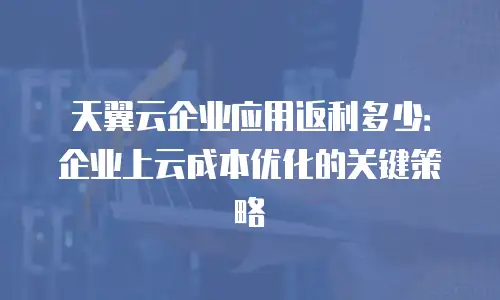 天翼云企业应用返利多少：企业上云成本优化的关键策略