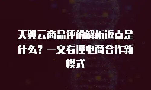 天翼云商品评价解析返点是什么？一文看懂电商合作新模式