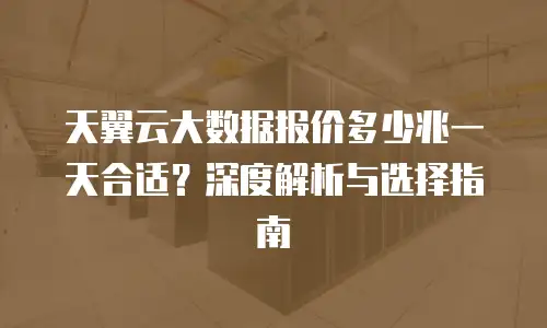 天翼云大数据报价多少兆一天合适？深度解析与选择指南