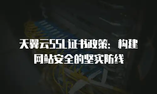 天翼云SSL证书政策：构建网站安全的坚实防线