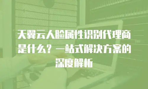 天翼云人脸属性识别代理商是什么？一站式解决方案的深度解析