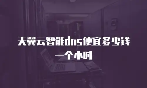 天翼云智能dns便宜多少钱一个小时