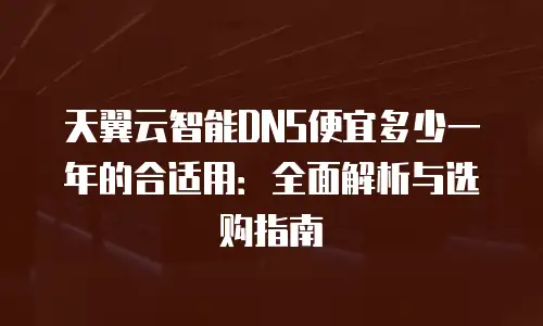 天翼云智能DNS便宜多少一年的合适用：全面解析与选购指南