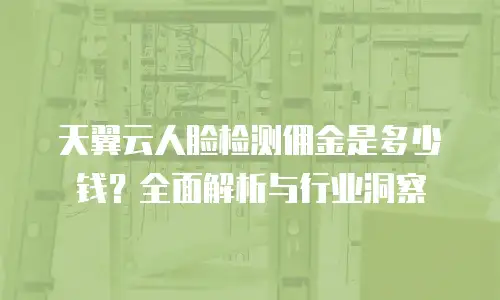 天翼云人脸检测佣金是多少钱？全面解析与行业洞察