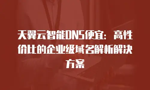 天翼云智能DNS便宜：高性价比的企业级域名解析解决方案