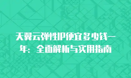 天翼云弹性IP便宜多少钱一年：全面解析与实用指南