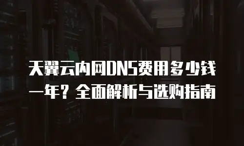 天翼云内网DNS费用多少钱一年？全面解析与选购指南