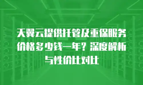 天翼云提供托管及重保服务价格多少钱一年？深度解析与性价比对比