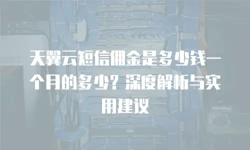 天翼云短信佣金是多少钱一个月的多少？深度解析与实用建议