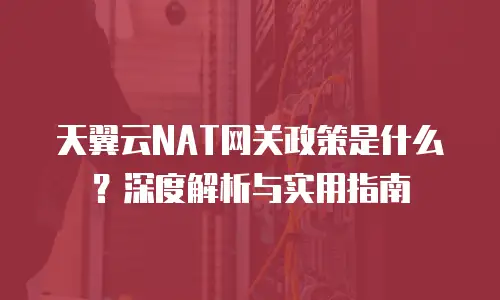 天翼云NAT网关政策是什么？深度解析与实用指南