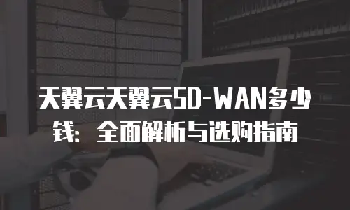 天翼云天翼云SD-WAN多少钱：全面解析与选购指南