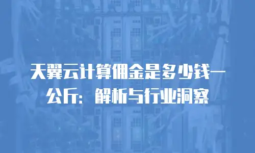 天翼云计算佣金是多少钱一公斤：解析与行业洞察