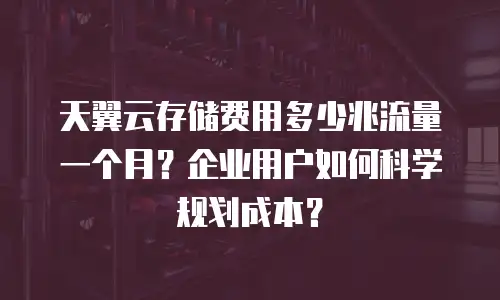 天翼云存储费用多少兆流量一个月？企业用户如何科学规划成本？