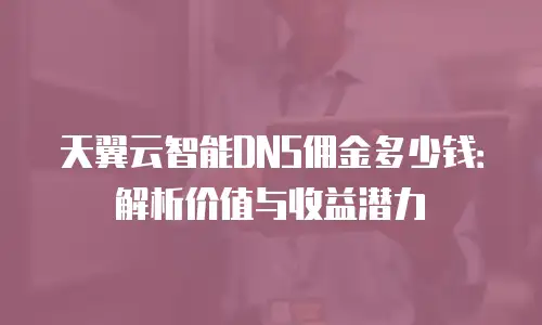 天翼云智能DNS佣金多少钱：解析价值与收益潜力