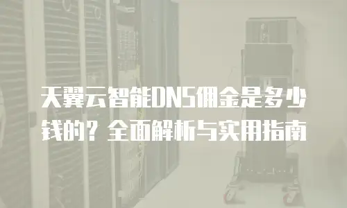 天翼云智能DNS佣金是多少钱的？全面解析与实用指南