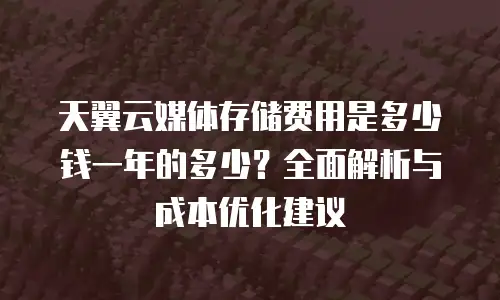 天翼云媒体存储费用是多少钱一年的多少？全面解析与成本优化建议