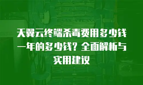 天翼云终端杀毒费用多少钱一年的多少钱？全面解析与实用建议