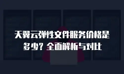 天翼云弹性文件服务价格是多少？全面解析与对比