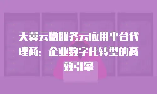 天翼云微服务云应用平台代理商：企业数字化转型的高效引擎