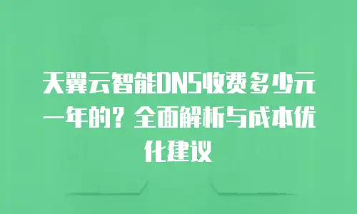 天翼云智能DNS收费多少元一年的？全面解析与成本优化建议