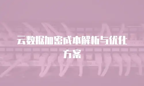 云数据加密成本解析与优化方案