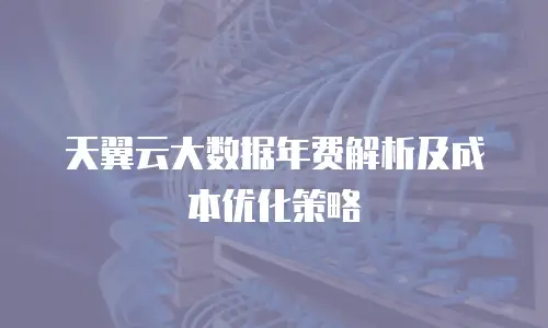 天翼云大数据年费解析及成本优化策略
