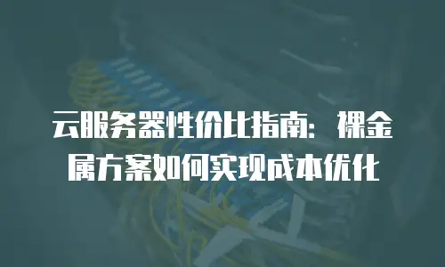 云服务器性价比指南：裸金属方案如何实现成本优化