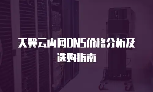 天翼云内网DNS价格分析及选购指南