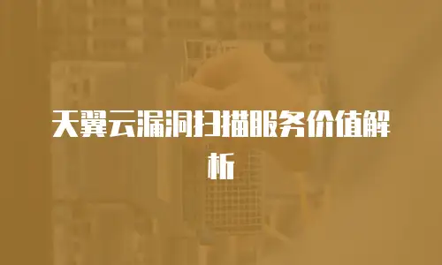 天翼云漏洞扫描服务价值解析