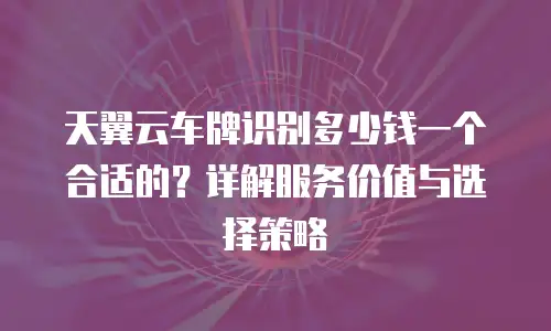 天翼云车牌识别多少钱一个合适的？详解服务价值与选择策略