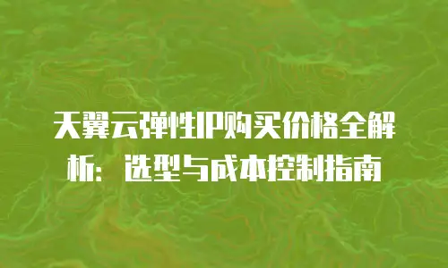 天翼云弹性IP购买价格全解析：选型与成本控制指南
