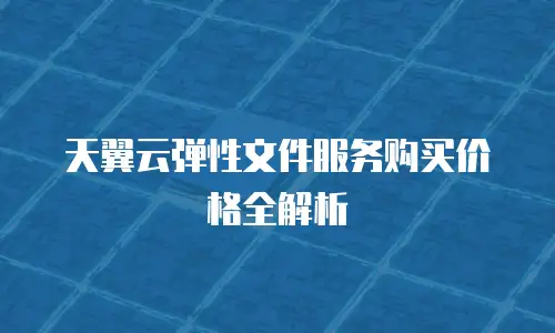 天翼云弹性文件服务购买价格全解析