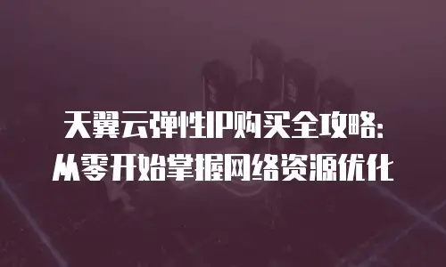 天翼云弹性IP购买全攻略：从零开始掌握网络资源优化