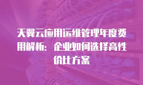 天翼云应用运维管理年度费用解析：企业如何选择高性价比方案