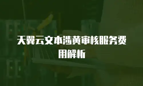 天翼云文本涉黄审核服务费用解析