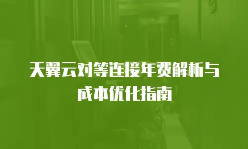 天翼云对等连接年费解析与成本优化指南