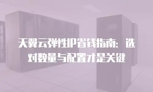 天翼云弹性IP省钱指南：选对数量与配置才是关键