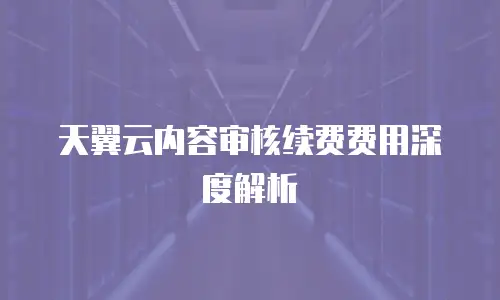 天翼云内容审核续费费用深度解析